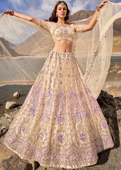 All Over Embroidery Mirror Work Lehenga in Organza - CCEK1982 from...