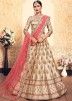 Indian Satin Embroidered Light Brown Lehenga Choli Online Shopping USA