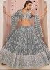Grey Net Sequins Embellished Lehenga Choli