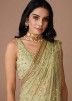 Pastel Green Embroidered Net Saree