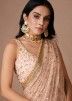 Pastel Pink Embroidered Saree In Net