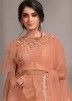 Peach Embroidered Ruffled Saree In Net