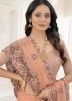 Dusty Peach Embroidered Net Saree & Blouse