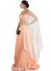 Peach Georgette & Net Cape With Skirt