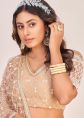 Beige Sequins Embroidered Net Lehenga Choli