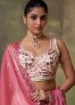Cream Organza Lehenga Choli With Floral Detailing