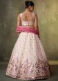 Cream Organza Lehenga Choli With Floral Detailing