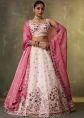 Cream Organza Lehenga Choli With Floral Detailing