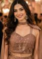 Brown Pre-Stitched Saree With Embellished Cape