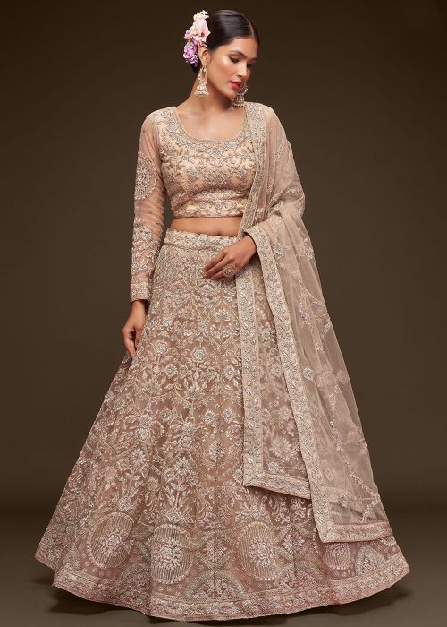 Beige Embroidered Net Lehenga Choli Set