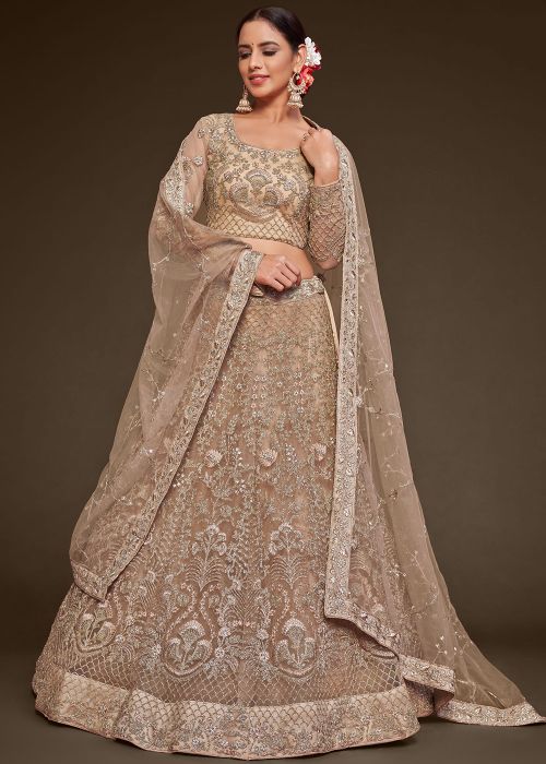 Beige Embroidered Net Lehenga Choli Set
