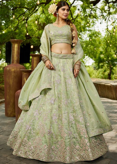 Light Green Dori Embroidered Lehenga Choli