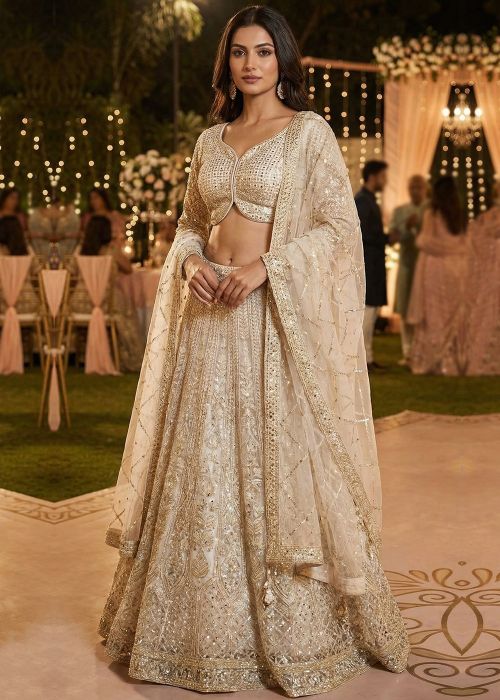 Beige Net Lehenga Choli With Handworked Embellishment