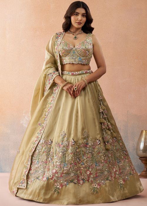 Golden Tissue Lehenga Choli With Embroidered Border