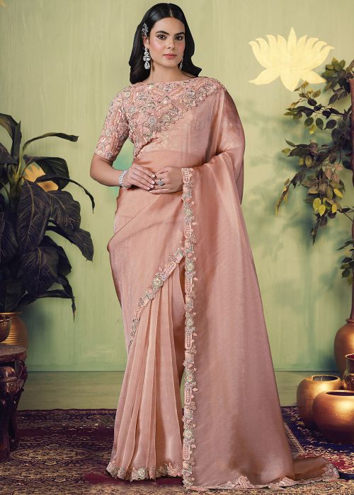 Pink Tissue Saree With Floral Embroidered Border