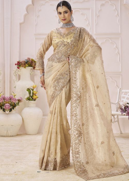 Beige Tissue Saree With Beads Embroidery