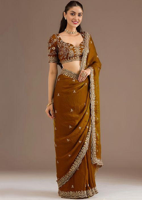 Golden Tissue Saree With Border Work