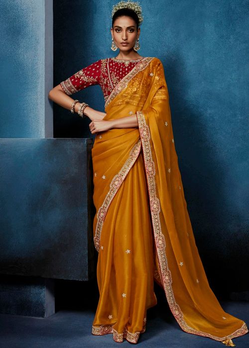 Orange Tissue Saree With Red Zari Blouse