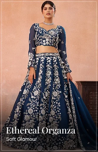 Buy Indian Wedding Dresses Online in USA - Panash India Buy Indian Wedding Dresses Online in USA - Panash India