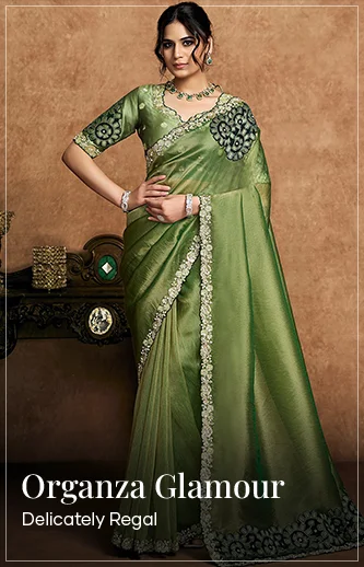 shop organza sarees